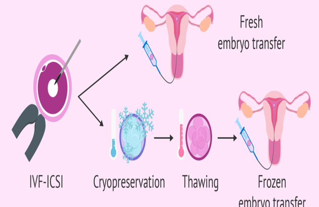 infertility treatment in karaikudi